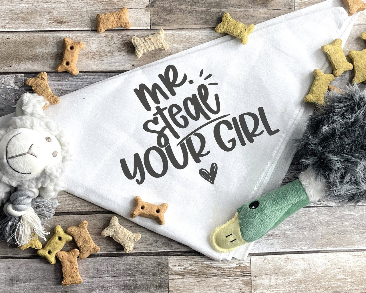 Mr. Steal Your Girl Dog Bandana SVG