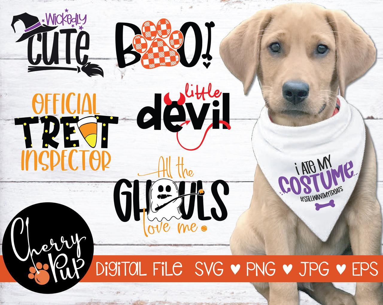 Ultimate Halloween Dog Bandana SVG Bundle!